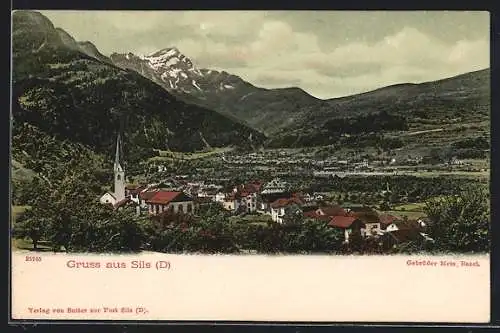 AK Sils-D, Totalansicht mit Bergen