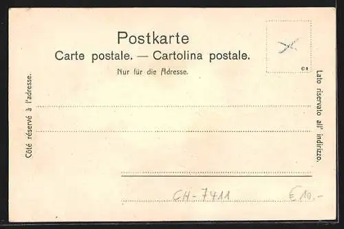 AK Sils-D, Totalansicht mit Bergen