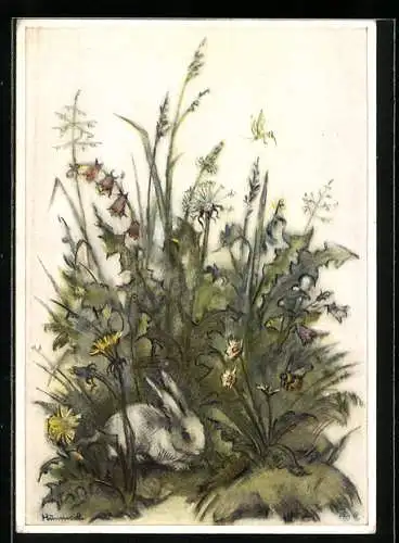 Künstler-AK Hummel: Hase im Grünen