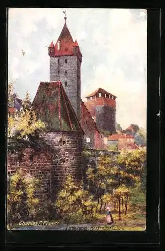 Künstler-AK Charles F. Flower: Nürnberg, Blick auf Kaiserstallung