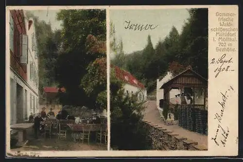 AK Mühldorf i. Möllthal, Gasthaus Waldschlösschen, Strassenpartie