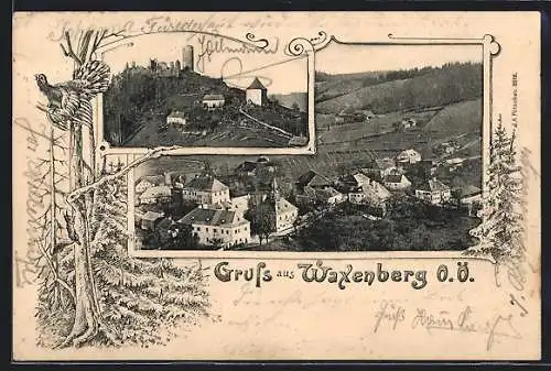 AK Waxenberg /O.Ö., Ortsansicht und die Burgruine