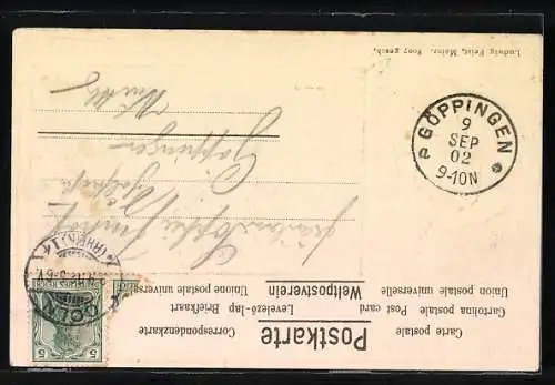 Passepartout-Lithographie Rüdesheim a. Rhein, Gesamtansicht am Fluss, Weintrinkerin im Passepartout