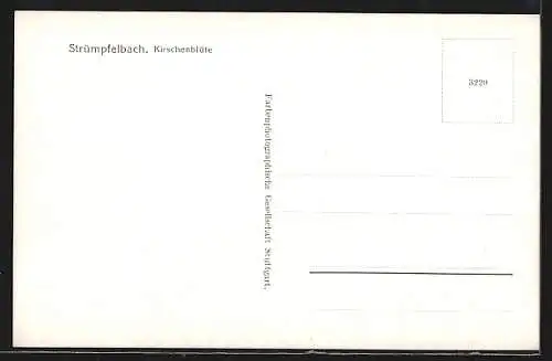 AK Strümpfelbach, Gesamtansicht zur Kirchscnblüte