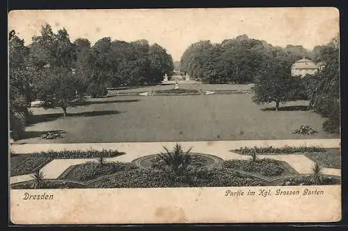 AK Dresden, Partie im Königlichen Grossen Garten