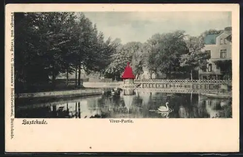 AK Buxtehude, Viver-Partie