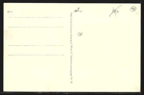 AK Horn /N. Ö., Blick über die Häuserdächer auf die Kirche