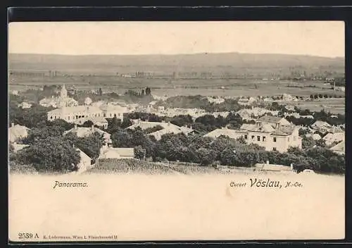 AK Vöslau, Panorama mit Kirche