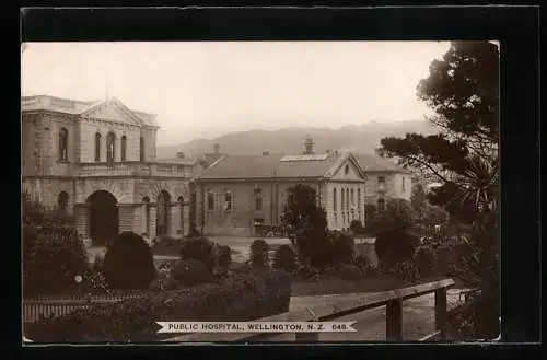 AK Wellington, Public Hospital