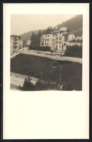 AK St. Moritz, Kuhherde auf der Strasse