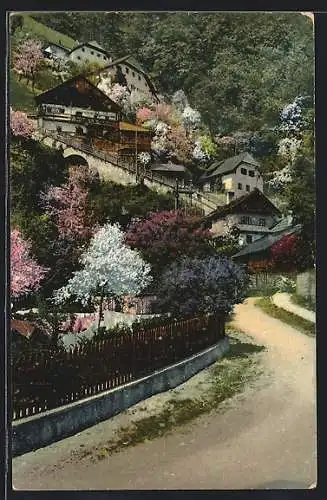 AK Hallstatt, Ortspartie mit Wohnhäusern