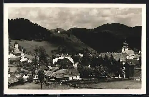 AK St. Aegyd a. N., Ortsansicht mit Bergpanorama