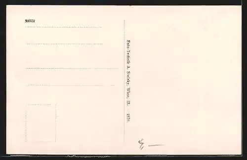 AK St. Aegyd a. N., Totalansicht von oben