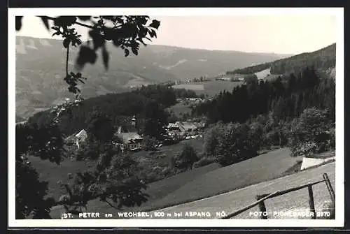 AK St. Peter am Wechsel, Ortsansicht mit Umgebung aus der Vogelschau