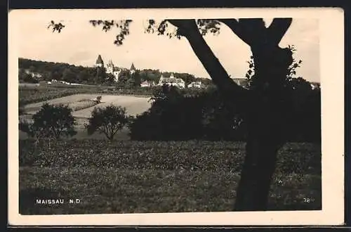 AK Maissau /N. D., Ortsansicht hinter Feldern