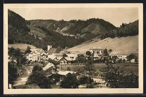 AK Lunz /N.-Ö., Ortsansicht gegen bewaldete Berge