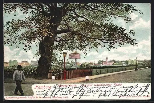 AK Hamburg-Harvestehude, Weg zur Uhlenhorster Fähre