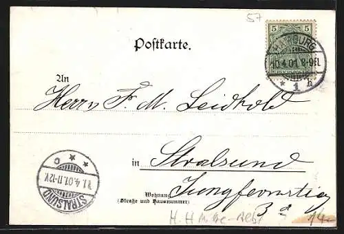 AK Hamburg-Neustadt, Alter Jungfernstieg mit Booten im Passepartoutrahmen