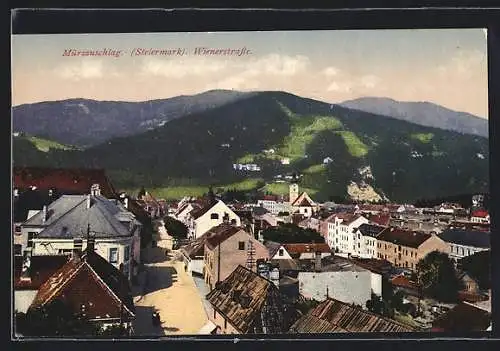 AK Mürzzuschlag, Teilansicht mit Wienerstrasse