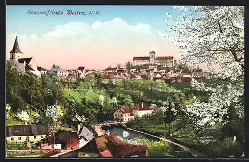 AK Weitra /N.-Ö., Ortsansicht mit Kirche im Frühling