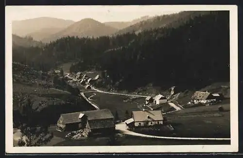 AK St. Aegyd am Neuwalde, Ulreichsberg, Ortsansicht mit Bergen