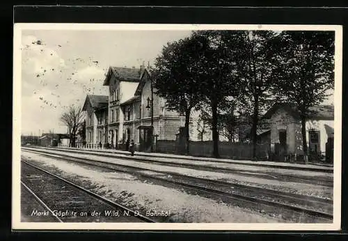 AK Göpfritz /Wild, Bahnhof
