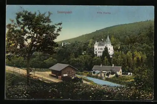 AK Savanyukut, Bahnhof und Villa Hartig