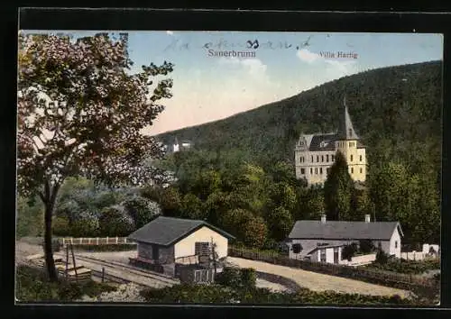 AK Bad Sauerbrunn, Bahnhof und Villa Hartig