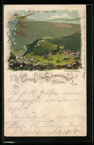Vorläufer-Lithographie Schwarzburg /Thüringen, 1895, Blick von Trippstein
