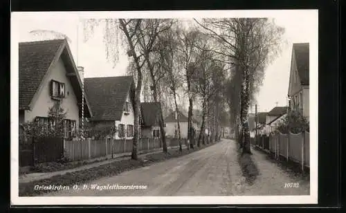 AK Grieskirchen /O. D., Einfamilienhäuser in der Wagnleithnerstrasse