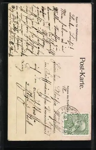 AK Feldkirchen an der Donau, Schloss Bergheim, Ortspartie mit Kirche