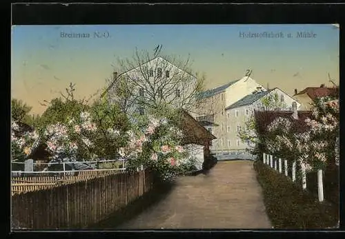 AK Breitenau /N.-Ö., Holzstoffabrik u. Mühle