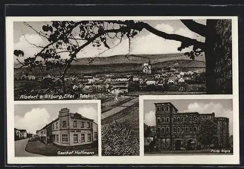 AK Alsdorf / Eifel, Gasthof und Pension Hoffmann, Ortsansicht