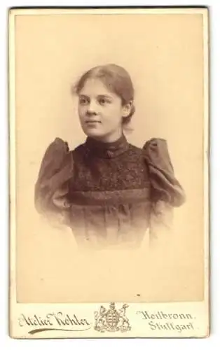 Fotografie C. Kohler, Heilbronn, Titotstrs. 7, Junge Dame im Kleid mit Puffärmeln
