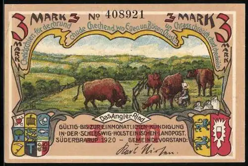 Notgeld Süderbrarup 1920, 3 Mark, Torsbergmoor mit Hünengrab, Das Angler Rind