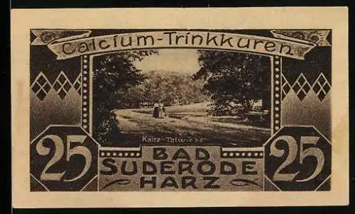 Notgeld Bad Suderode /Harz 1921, 25 Pfennig, Kalte Talwiese