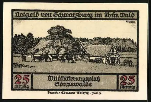 Notgeld Schwarzburg im Thür. Wald 1922, 25 Pfennig, Wildfütterungsplatz Sonnewalde