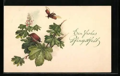 AK Frohes Pfingstfest, Maikäfer fliegen auf den Blätterzweig