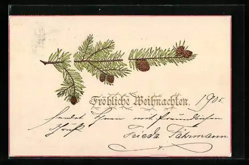 AK Fröhliche Weihnachten, grüner Tannenzweig mit Zapfen