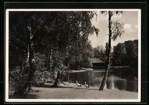 AK Döberitz, Olympisches Dorf - Sauna mit Waldsee