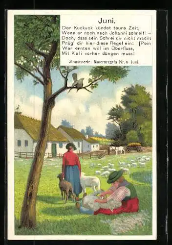 AK Allegorie Juni, Schäfer beim Scheren der Schafherde, Bauernregel mit Reklame für die Düngung mit Kali