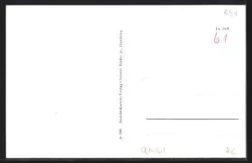 AK Lauenburg a. d. Elbe, Uferpartie mit Booten