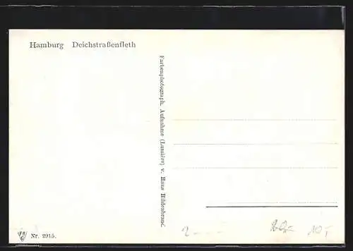 AK Alt-Hamburg, Deichstrassenfleth mit Geschäft und Kirchturm