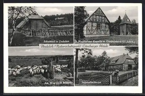 AK Undeloh /Lüneburger Heide, Jugenderberge, Schafstall in Undeloh