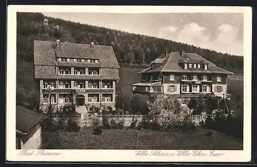 AK Bad Reinerz, Villa Silesia und Villa Eben-Ezer