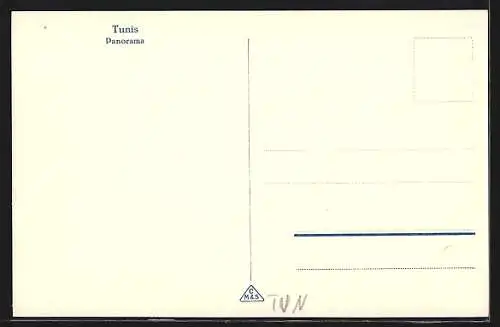 AK Tunis, Blick über die Dächer der Stadt