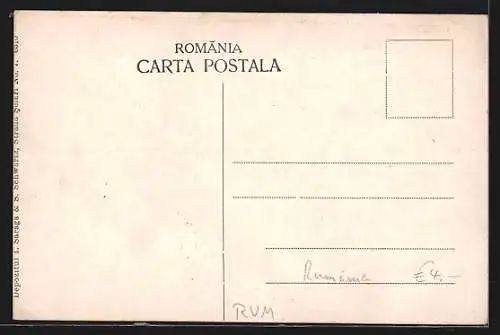 AK Sinaia, Terasa Castelului Peles