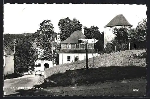AK Leiben /N.-Oe., Schloss Leiben mit Strassenpartie