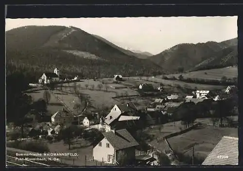 AK Waidmannsfeld, Teilansicht des Ortes