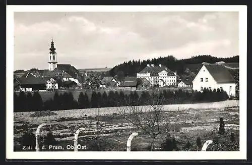 AK Zell a.d. Pram, Ortsansicht mit Gärten und Kirche